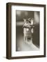 Kitten in a Beer Stein-null-Framed Photographic Print