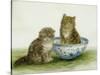 Kitten in a Blue China Bowl-Betsy Bamber-Stretched Canvas