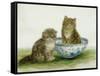 Kitten in a Blue China Bowl-Betsy Bamber-Framed Stretched Canvas