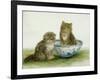 Kitten in a Blue China Bowl-Betsy Bamber-Framed Giclee Print