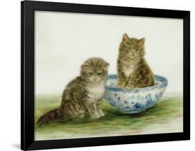 Kitten in a Blue China Bowl-Betsy Bamber-Framed Giclee Print