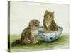Kitten in a Blue China Bowl-Betsy Bamber-Stretched Canvas