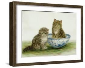 Kitten in a Blue China Bowl-Betsy Bamber-Framed Giclee Print