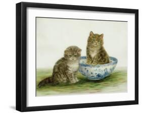 Kitten in a Blue China Bowl-Betsy Bamber-Framed Giclee Print