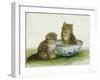 Kitten in a Blue China Bowl-Betsy Bamber-Framed Giclee Print