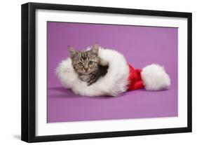 Kitten in a Christmas Hat-null-Framed Photographic Print