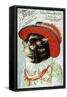 Kitten In A Hat Wearing Eyeglasses-Spencer Optical-Framed Stretched Canvas