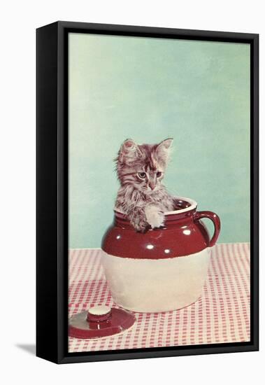 Kitten in a Jug-null-Framed Stretched Canvas