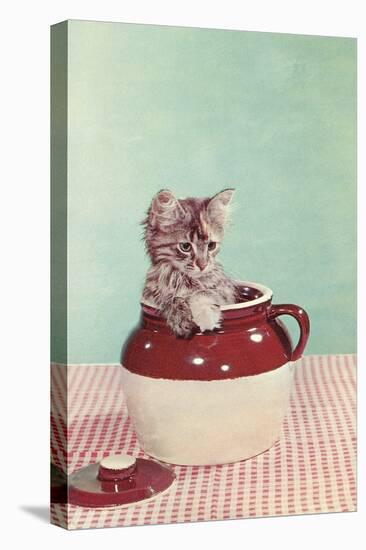 Kitten in a Jug-null-Stretched Canvas