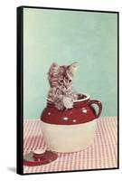 Kitten in a Jug-null-Framed Stretched Canvas