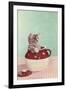 Kitten in a Jug-null-Framed Art Print