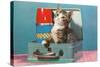 Kitten in a Lunchbox, Retro-null-Stretched Canvas