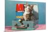 Kitten in a Lunchbox, Retro-null-Mounted Premium Giclee Print