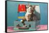 Kitten in a Lunchbox, Retro-null-Framed Stretched Canvas