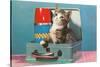 Kitten in a Lunchbox, Retro-null-Stretched Canvas