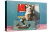 Kitten in a Lunchbox, Retro-null-Stretched Canvas