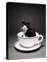 Kitten in a Teacup-Robert Essel-Stretched Canvas