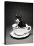 Kitten in a Teacup-Robert Essel-Stretched Canvas