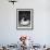 Kitten in a Teacup-Robert Essel-Framed Photographic Print displayed on a wall