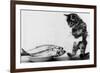 Kitten in an Aquarium Looking at Fishes in a Plate, June 26, 1972-null-Framed Photo