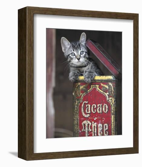 Kitten in Box-Hubert-Framed Art Print