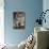 Kitten in Bureau-null-Mounted Photographic Print displayed on a wall