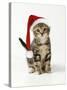 Kitten in Christmas Hat-null-Stretched Canvas