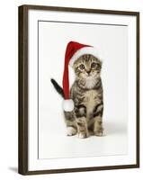 Kitten in Christmas Hat-null-Framed Photographic Print
