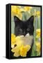 Kitten in Daffodils-null-Framed Stretched Canvas