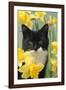 Kitten in Daffodils-null-Framed Photographic Print