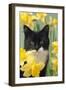 Kitten in Daffodils-null-Framed Photographic Print