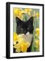 Kitten in Daffodils-null-Framed Photographic Print