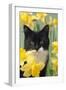 Kitten in Daffodils-null-Framed Photographic Print