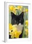 Kitten in Daffodils-null-Framed Photographic Print