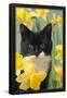 Essential Black