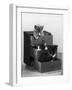 Kitten in Each Drawer-null-Framed Photographic Print