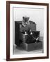 Kitten in Each Drawer-null-Framed Photographic Print