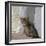 Kitten in Heracleion-CM Dixon-Framed Photographic Print