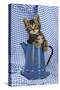 Kitten in Jug-null-Stretched Canvas