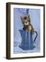 Kitten in Jug-null-Framed Photographic Print