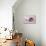 Kitten in Pink Jug-null-Stretched Canvas displayed on a wall