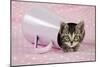 Kitten in Pink Jug-null-Mounted Photographic Print