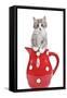 Kitten in Red Jug-null-Framed Stretched Canvas