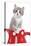 Kitten in Red Jug-null-Stretched Canvas