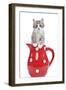 Kitten in Red Jug-null-Framed Photographic Print