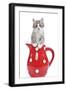 Kitten in Red Jug-null-Framed Photographic Print