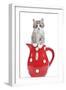 Kitten in Red Jug-null-Framed Photographic Print