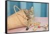 Kitten in Sewing Basket-null-Framed Stretched Canvas