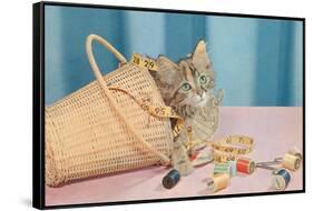 Kitten in Sewing Basket-null-Framed Stretched Canvas