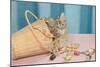 Kitten in Sewing Basket-null-Mounted Art Print